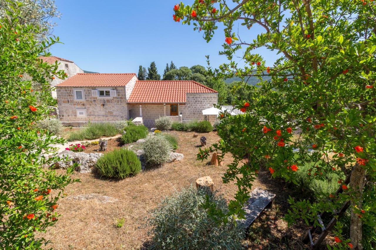 Ferienwohnung Olive Garden Ston Exterior foto