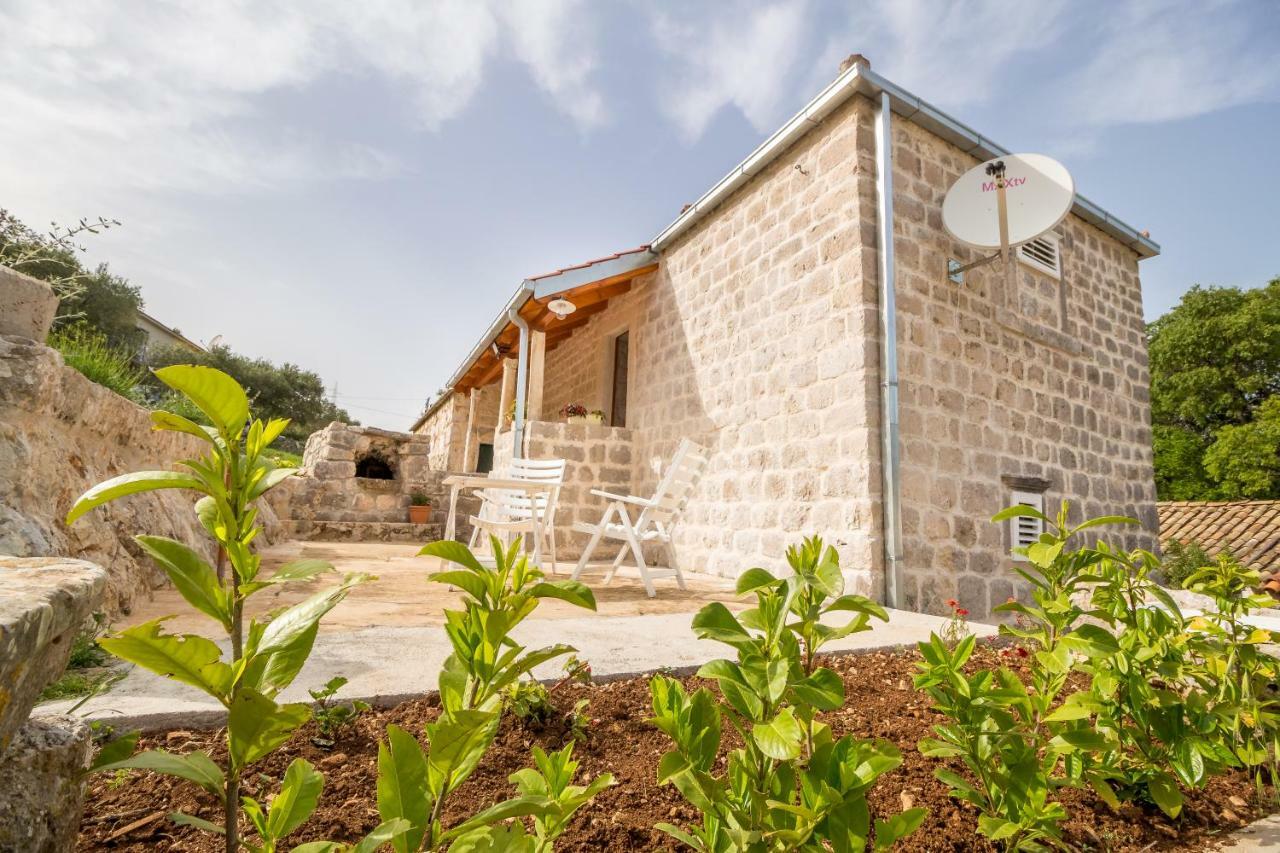 Ferienwohnung Olive Garden Ston Exterior foto