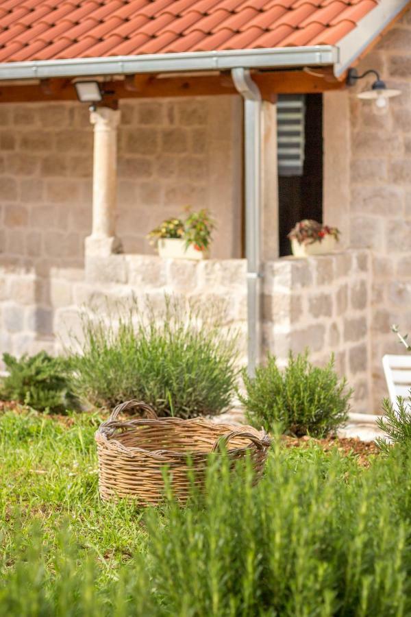 Ferienwohnung Olive Garden Ston Exterior foto