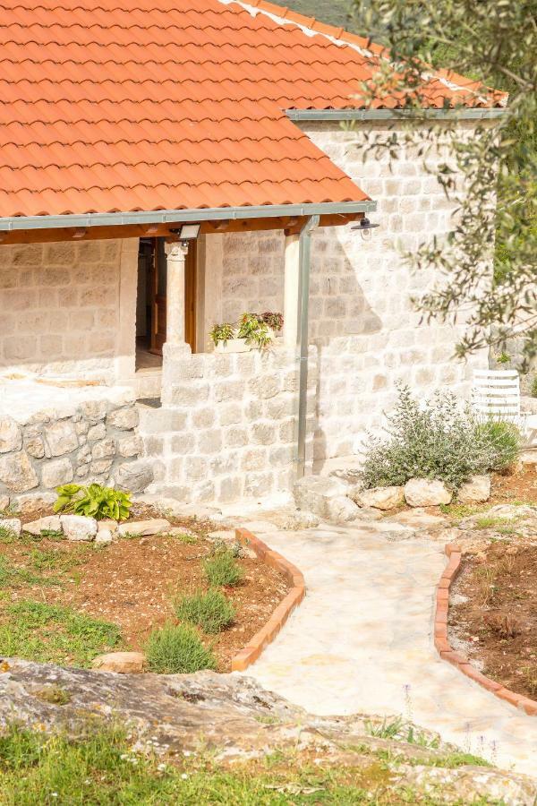Ferienwohnung Olive Garden Ston Exterior foto